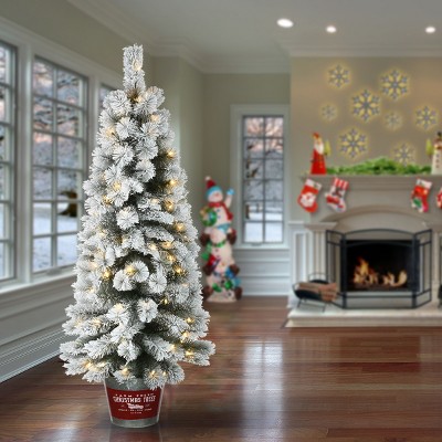 5' Prelit Snowy Pine Artificial Entrance Tree with White LED Lights
