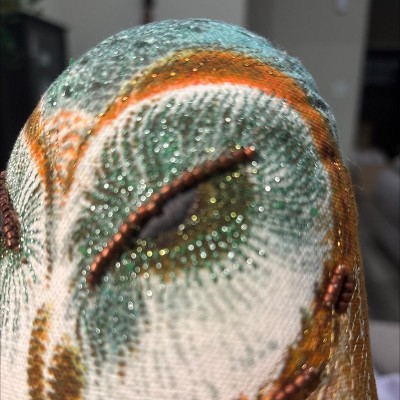 Guest review image 3 of 4, zoom in