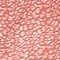 light red leopard print