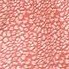 light red leopard print