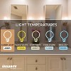 Bulbrite Set of 4 40W T8 Incandescent Dimmable Light Bulbs: Edison Medium Base, Decorative, 2200K, 2-Year Life - 4 of 4