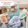 Tickle & Main Noah's Ark 4-Piece Gift Set for Infants 0-12 Months, Includes Storybook and 3 Pairs of Animal Socks Noah - 3 of 4
