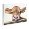 Stupell Industries Baby Cow Animal Watercolor Wall Plaque Art - 2 of 4