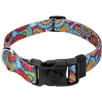 Country Brook Petz Deluxe Brisk Autumn Dog Collar - Made in The U.S.A. (5/8  Inch, Small)
