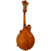 Kentucky KM-752 Deluxe F-Style Mandolin Transparent Amber - 2 of 4