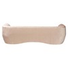 Baxton Studio Adanna Velvet Fabric Sofa Champagne Beige - 4 of 4