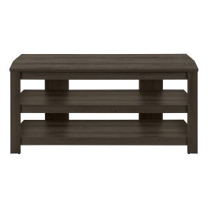 HomeRoots 42" Brown Wood Open Shelving TV Stand - 1 of 4
