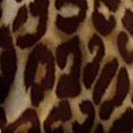 brown classic animal