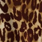 brown classic animal