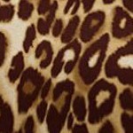 brown classic animal