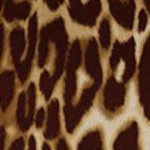 brown classic animal