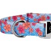 Country Brook Petz Premium Dog Collar - Spring Collection - 4 of 4