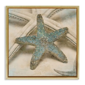 Stupell Industries Distressed Texture Starfish, 18" x 18" - 1 of 4