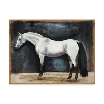 Large White Horse on Black Canvas Art