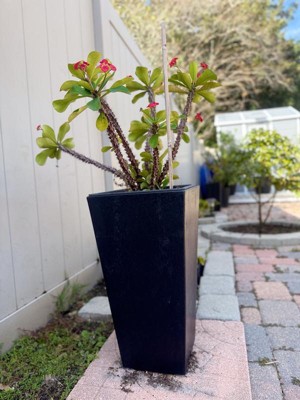 Guest review image 2 of 4, zoom in