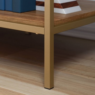 Sindoori Mango and Gold Modern TV Stand with Adjustable Shelf