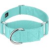 Country Brook Petz HossFit Jr Wide Martingale Dog Collar - Training Collar with No Buckle - Vibrant, Colorful Collection - 2 of 4