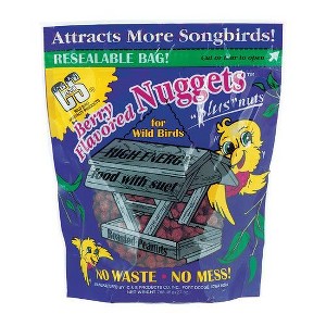 C&S 27 Oz. No Melt and Waste Free Berry Flavored Suet Nuggets - 1 of 1