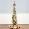 National Tree Company 6' Pencil Slim Flocked Nooksack Fir Artificial Christmas Tree Warm White LED Lights - 2 of 3