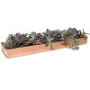 Gardener's Supply Company Rectangular Copper Plant Tray | 24" x 5" Leakproof Planting Pot for Houseplants & Succulents | Holiday Centerpiece Display - 3 of 4