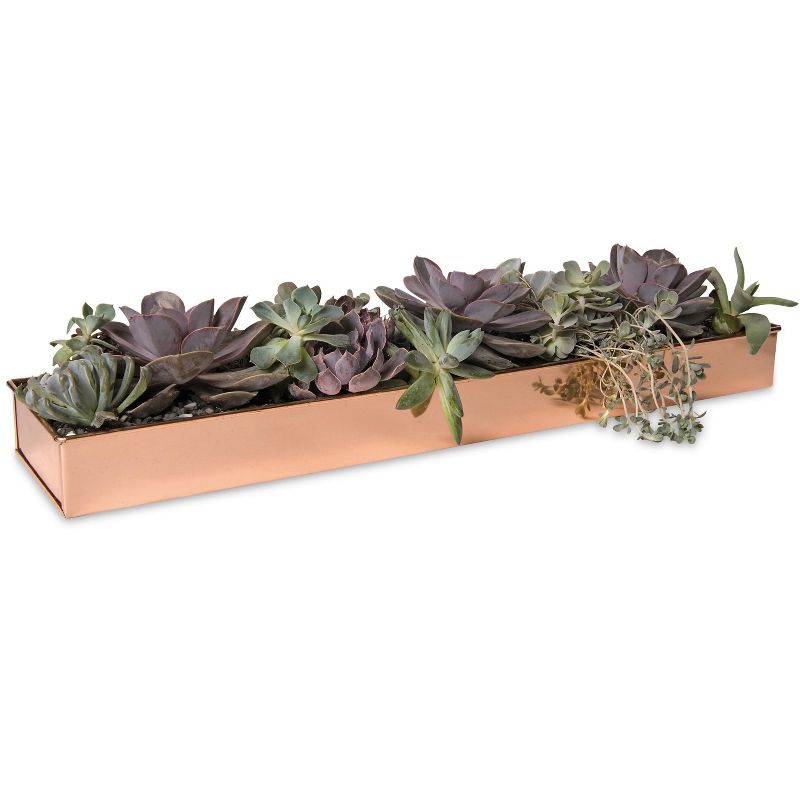 Gardener's Supply Company Rectangular Copper Plant Tray | 24" x 5" Leakproof Planting Pot for Houseplants & Succulents | Holiday Centerpiece Display, 3 of 6