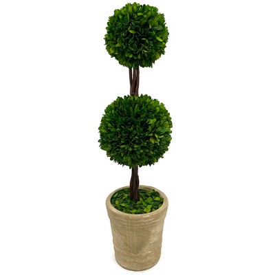 Modern Home 27" Real Preserved Boxwood Topiary Plant – Double Ball Faux Greenery in Rustic Pot – Indoor Outdoor Decorative Potted Plant
