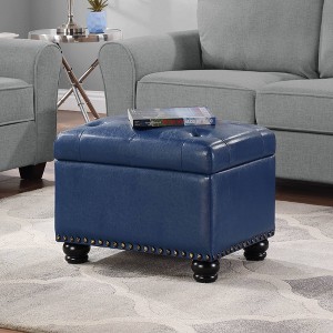 Designs4Comfort 5th Avenue Storage Ottoman - Breighton Home - 1 of 4
