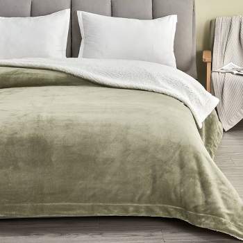 Cozy Solid Plush with Shearling Reverse Bed Blanket - Isla Jade