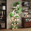 Vynxaria 8-Layer Plant Stand with Grow Lights: S-Shaped Indoor Shelf, Full-Spectrum Timed Lights for Plants & Display - 2 of 4