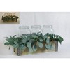 TX USA Corporation Decorative Wood with Metal Trim Box with Greenery - 2 of 2