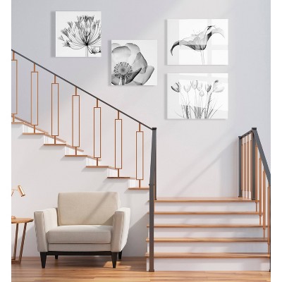 Crocus X-Ray Floral 23" x 31" Acrylic Wall Art