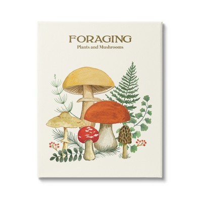 Stupell Industries Botanical Plants & Mushrooms Canvas Wall Art