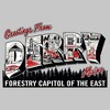 Juniors It: Welcome to Derry Forestry Capitol of the East Greetings T Shirt - 2 of 4