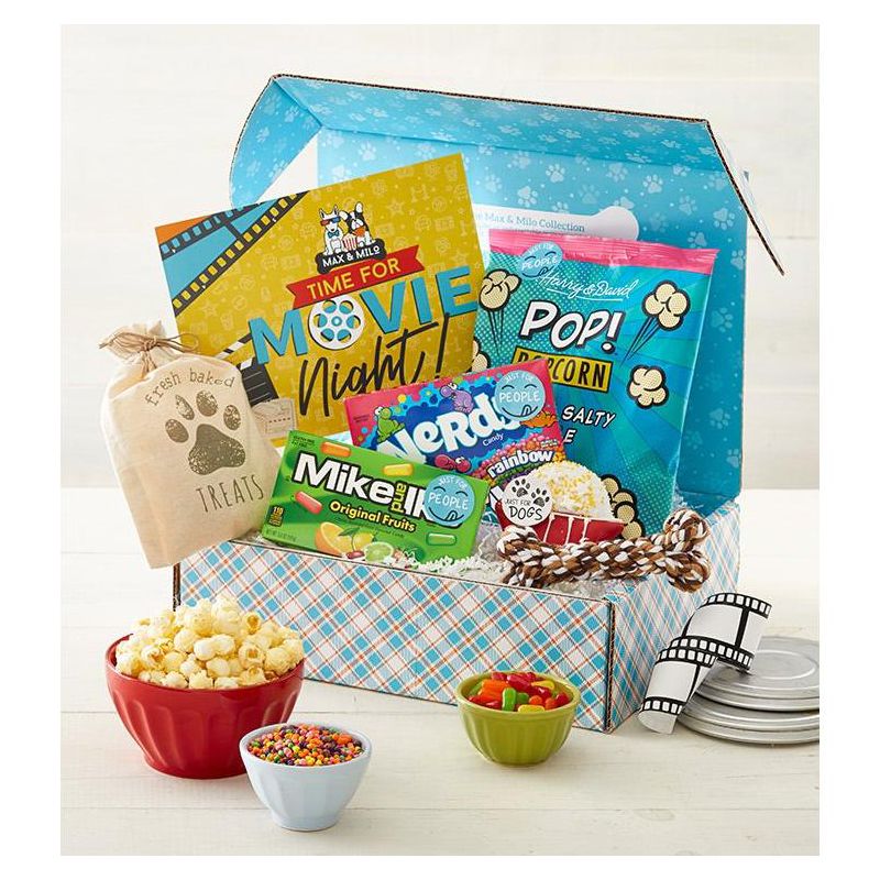Movie Night Box for Dog & Owner, 2 of 4