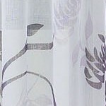 aubergine