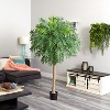 HomeStock  6.6 ft. Artificial Palm Tree in Pot for Indoor/Outdoor - 3 of 3