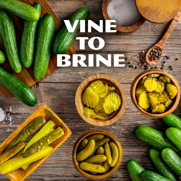 Mt. Olive Kosher Dill Pickles, 6 of 8