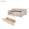 Full Size Upholstered Daybed with Two Drawers - 4 of 4