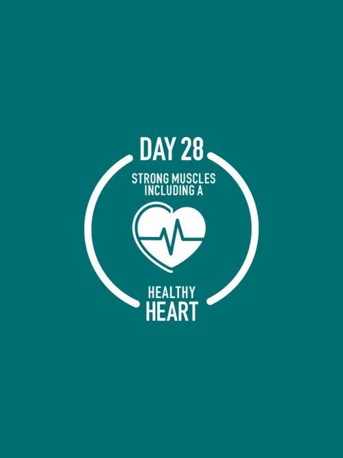 Day 28
Strong muscles including a healthy heart