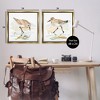 Stupell Industries Sea Birds on Shore 2pc Floating Frame Art Set, Gold, 25" x 25" - 3 of 4