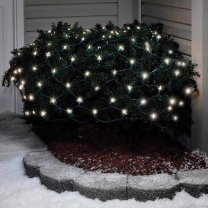 Celebrations LED Mini Cool White 100 ct Net Christmas Lights 6 ft. - 1 of 1