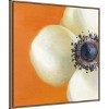 Amanti Art Contemporary Poppy by Danhui Nai Framed Canvas Wall Art - 3 of 4