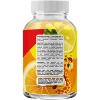 Omega + DHA Gummies for Kids, Omega 3, 6, 9 for Vision, Immunity, Heart and Brain Support, Phytoral, 60 ct - image 2 of 4