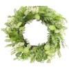 Mixed Foliage Wreath 27.5"D Decorative Polyester Green Fern Wreath for Home, Porch & Entry Display by Melrose - 2 of 3