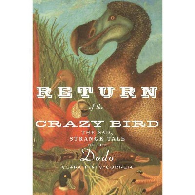 Return of the Crazy Bird - by  Clara Pinto-Correia (Paperback)