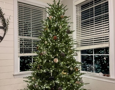 Guest review image 1 of 1, zoom in