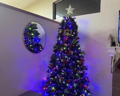 Guest review image 2 of 2, zoom in