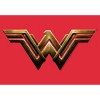 Men's Zack Snyder Justice League Wonder Woman Logo Sweatshirt - 2 of 4