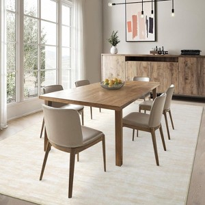 4'x6'Abstract Area Rug Machine Washable, Non-Slip Modern Accent Rug for Living Room Bedroom, Stain-Resistant Easy Clean Indoor Carpet,Beige - 1 of 4