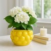Cheerful Planter Pot Perfect for Indoor or Outdoor Herbs, Ferns, or Succulents - Modern Pot for Indoor - Great for Garden and Patio Decor - 3 of 4